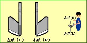 L爪、R爪見分け方